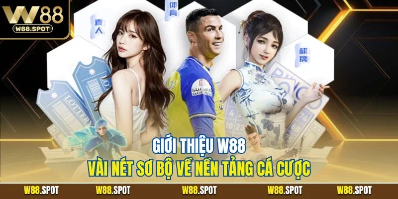 Giới thiệu W88 - Vài nét sơ bộ về nền tảng cá cược