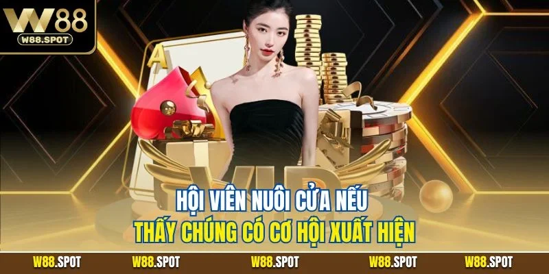 Baccarat W88 | Game Bài Đơn Giản Với Mức Thưởng Hậu Hĩnh 4 Hội viên nuôi cửa nếu thấy chúng có cơ hội xuất hiện