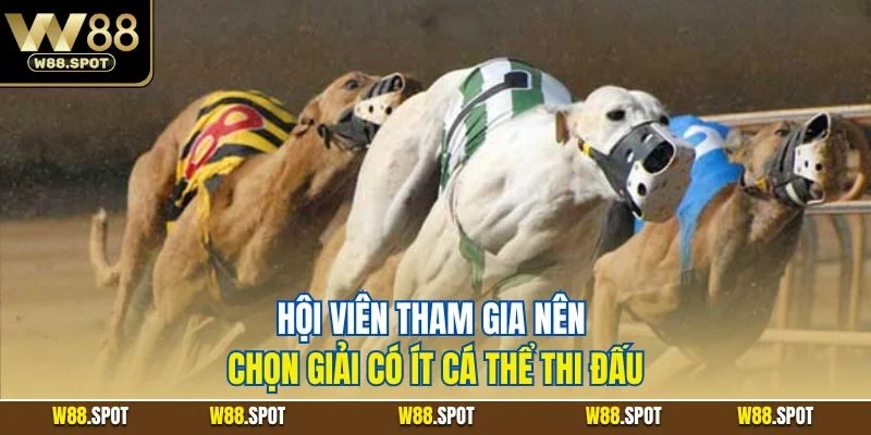 Hội viên tham gia nên chọn giải có ít cá thể thi đấu